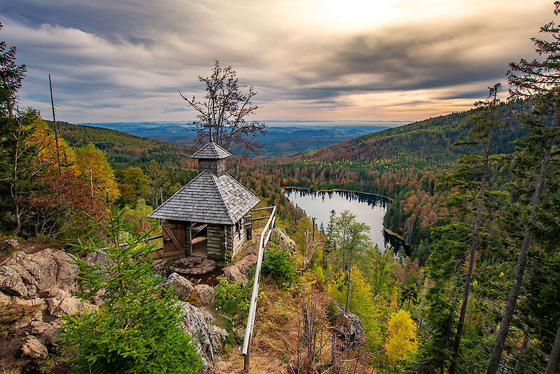 Wandertouren mit herrlichen Aussichten im Nationalpark Bayerischer Wald